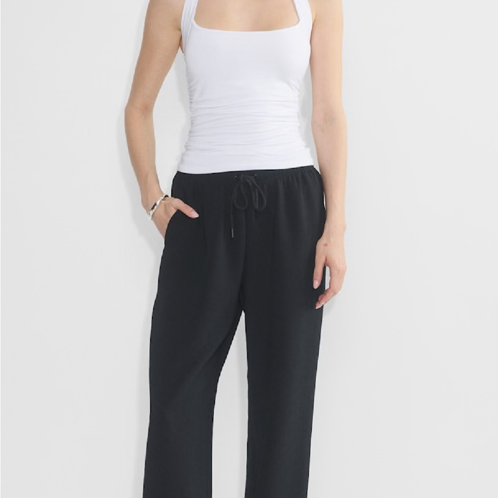 Aritzia Wilfred Thesis Black Drawstring Pants